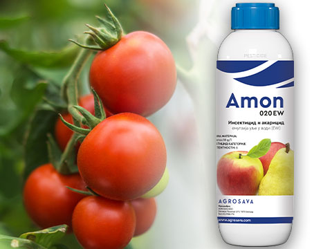 Amon 480x360