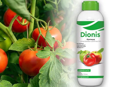 Dionis 480x360