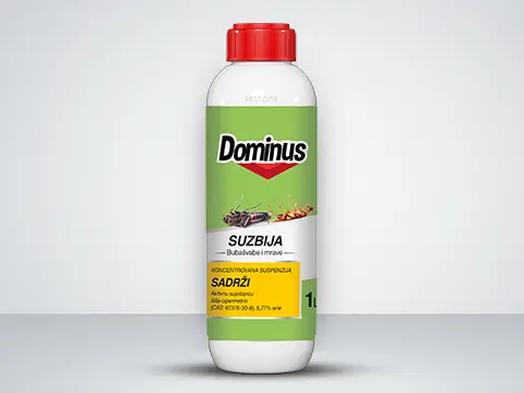 Dominus 480x360