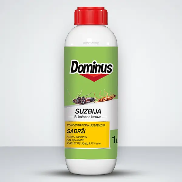Dominus 600x600