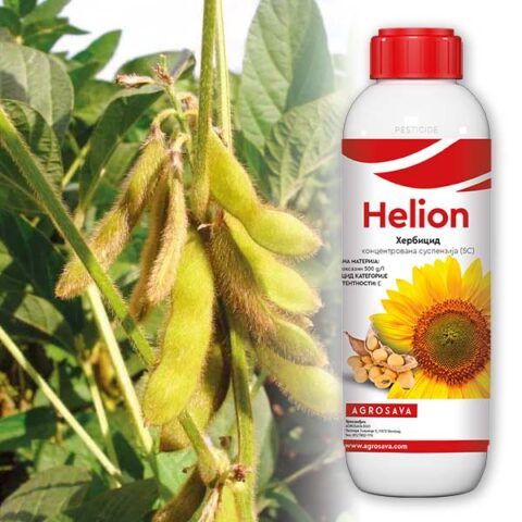 Helion