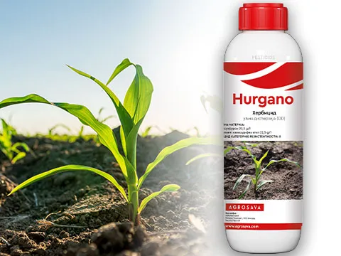 Hurgano 480x360
