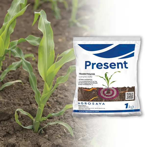 Present