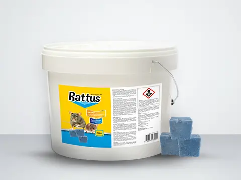 Rattus Brodi 50 Pro Pf 480x360