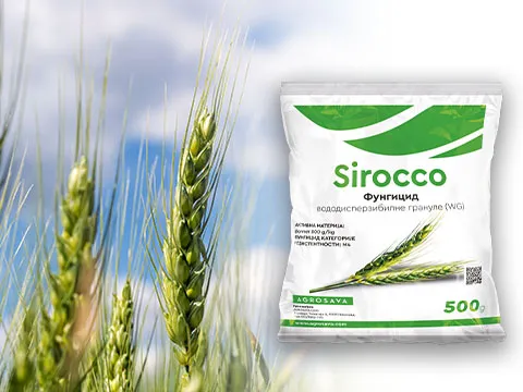 Sirocco 480x360