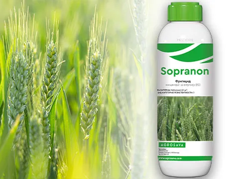 Sopranon 480x360