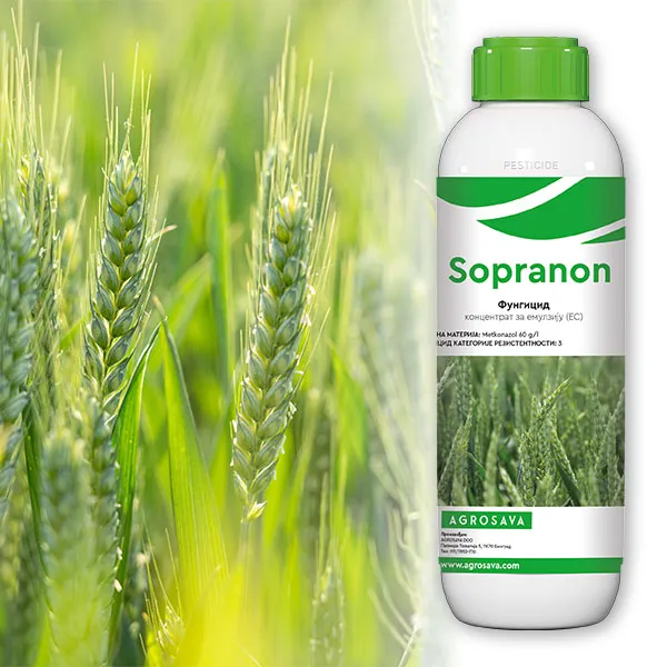 Sopranon 600x600