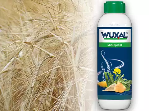 Wuxal Microplant