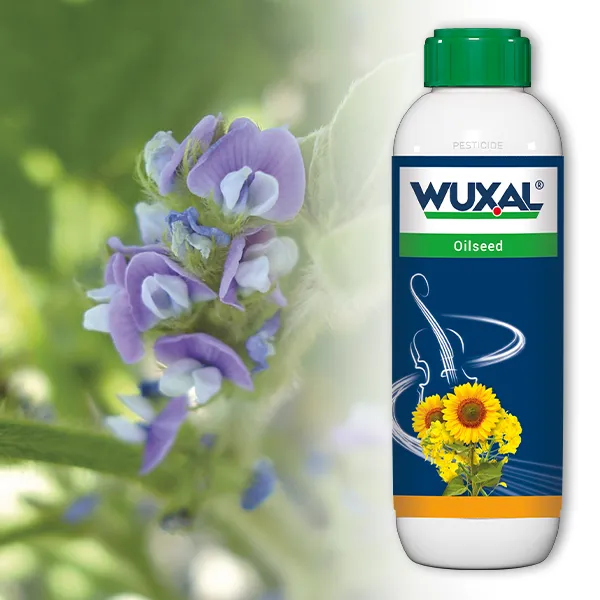 Wuxal Oilseed