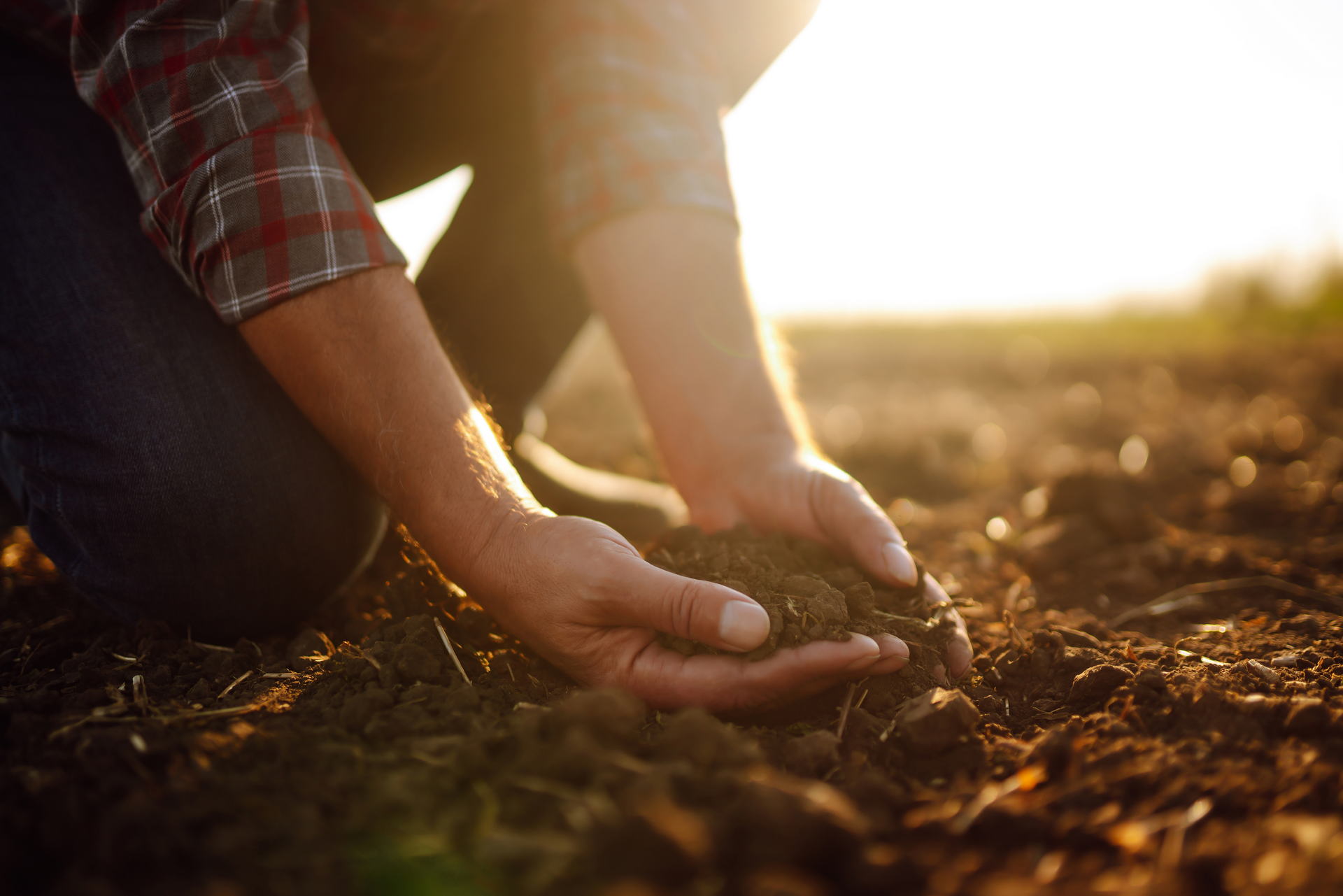 Male,hands,touching,soil,on,the,field.,expert,hand,of