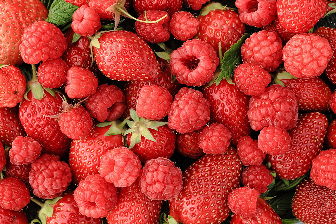 Zimski tretman Jagodasto Voce